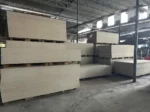 Tấm Cemboard X2