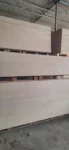 Tấm Cemboard X2