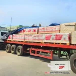 Tấm Cemboard SCG